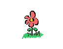 FLOR.gif (15670 bytes)