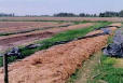 campo abierto.jpg (3409 bytes)