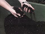 compost.jpg (6109 bytes)