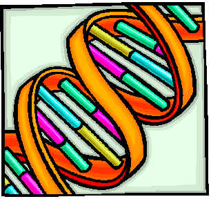 j0280748.wmf (45654 bytes)