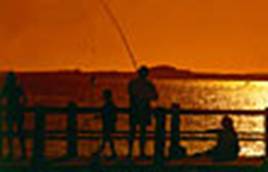 Tarde de pesca en el muelle