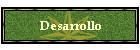 Desarrollo