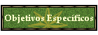 Objetivos Especficos