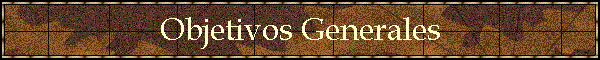 Objetivos Generales