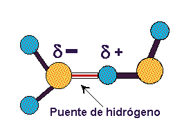 Agua